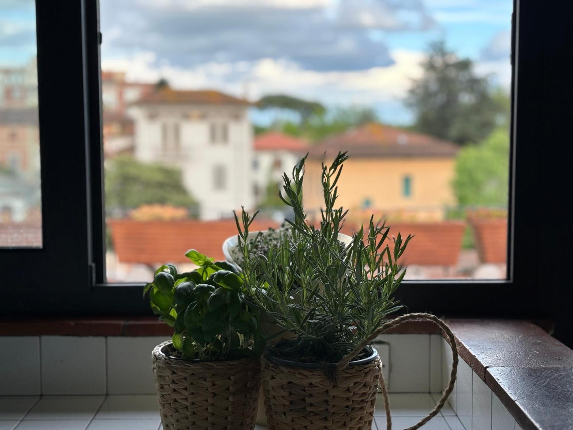 Lovely Apartment Lucca Bagian luar foto